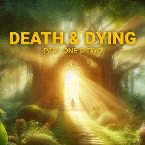 Death & Dying part one & two cover image, man standing in door way in big tree with light illuminating him