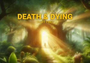 Death & Dying part two cover image, man standing in door way in big tree with light illuminating him