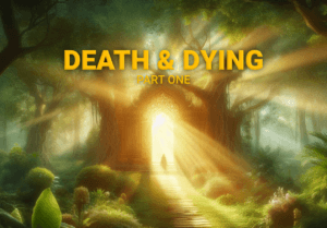 Death & Dying part one cover image, man standing in door way in big tree with light illuminating him