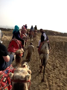 camelride