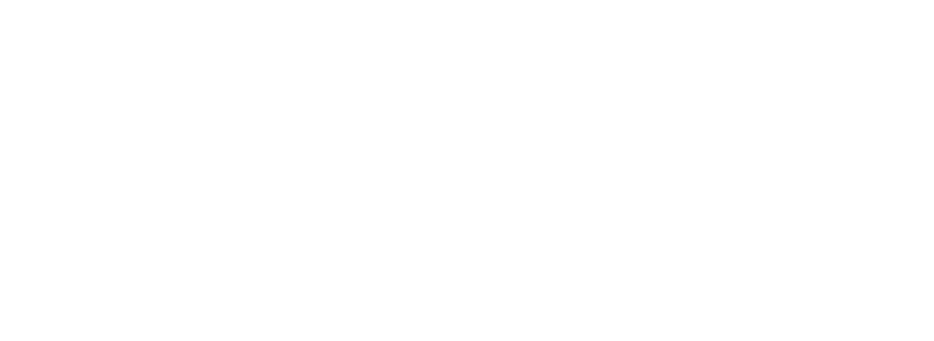 logo white no mark