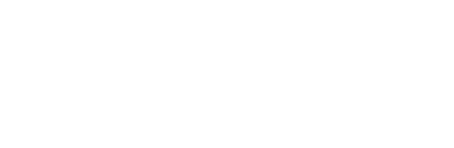 wordmark white